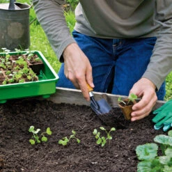 Saemereien -Saemereien 144 anzuchttoepfe 5cm quadratisch2