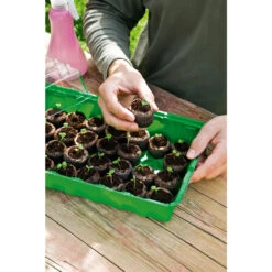 50 Kokos-Quelltabletten -Saemereien 50 kokos quelltabletten5