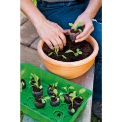 50 Kokos-Quelltabletten -Saemereien 50 kokos quelltabletten6