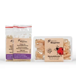 Adalia Nachfüller-Set