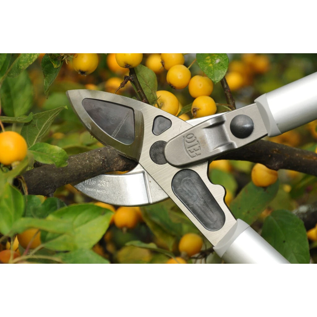 Astschere Felco 231 4 Astschere Felco 231 – Bild 2