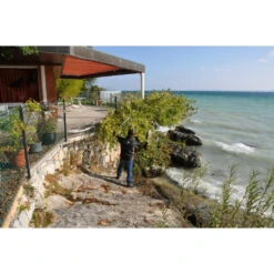 Astschere Felco 231 8 Astschere Felco 231 -Saemereien astschere felco 2313