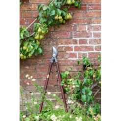 National Trust Astschere Burgon & Ball -Saemereien astschere national trust burgon ball2