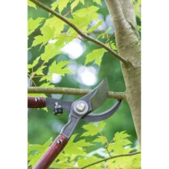 National Trust Astschere Burgon & Ball -Saemereien astschere national trust burgon ball3