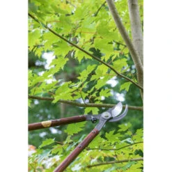 National Trust Astschere Burgon & Ball -Saemereien astschere national trust burgon ball4