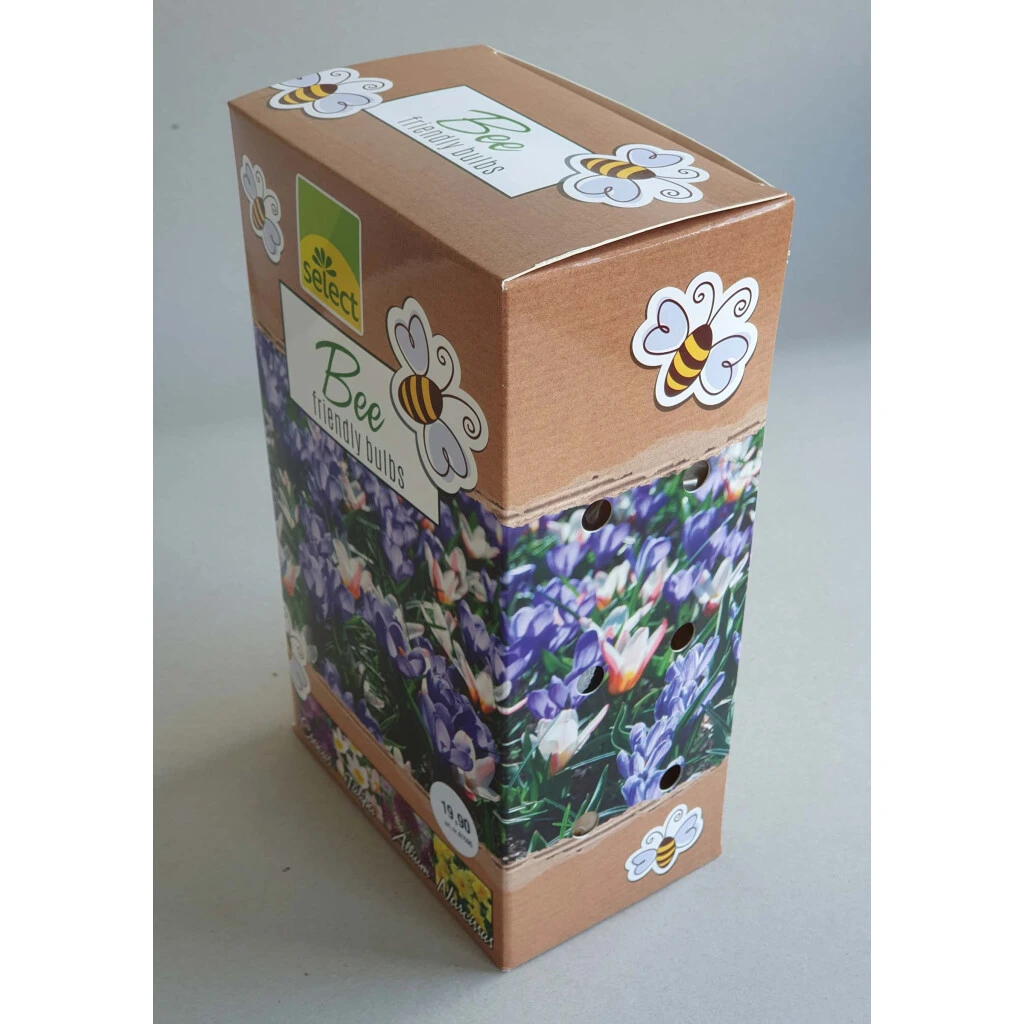 Bienen-Garten Zwiebeln 4 Bienen-Garten Zwiebeln – Bild 2