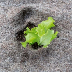 Vilana Bio Schafwoll-Mulchvlies -Saemereien bio schafwoll mulchvlies3