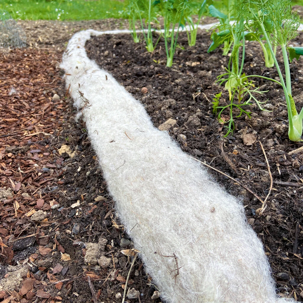 Vilana Bio Schneckenbremse 3 Vilana Bio Schneckenbremse