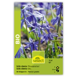 Blaustern Bio Zwiebeln