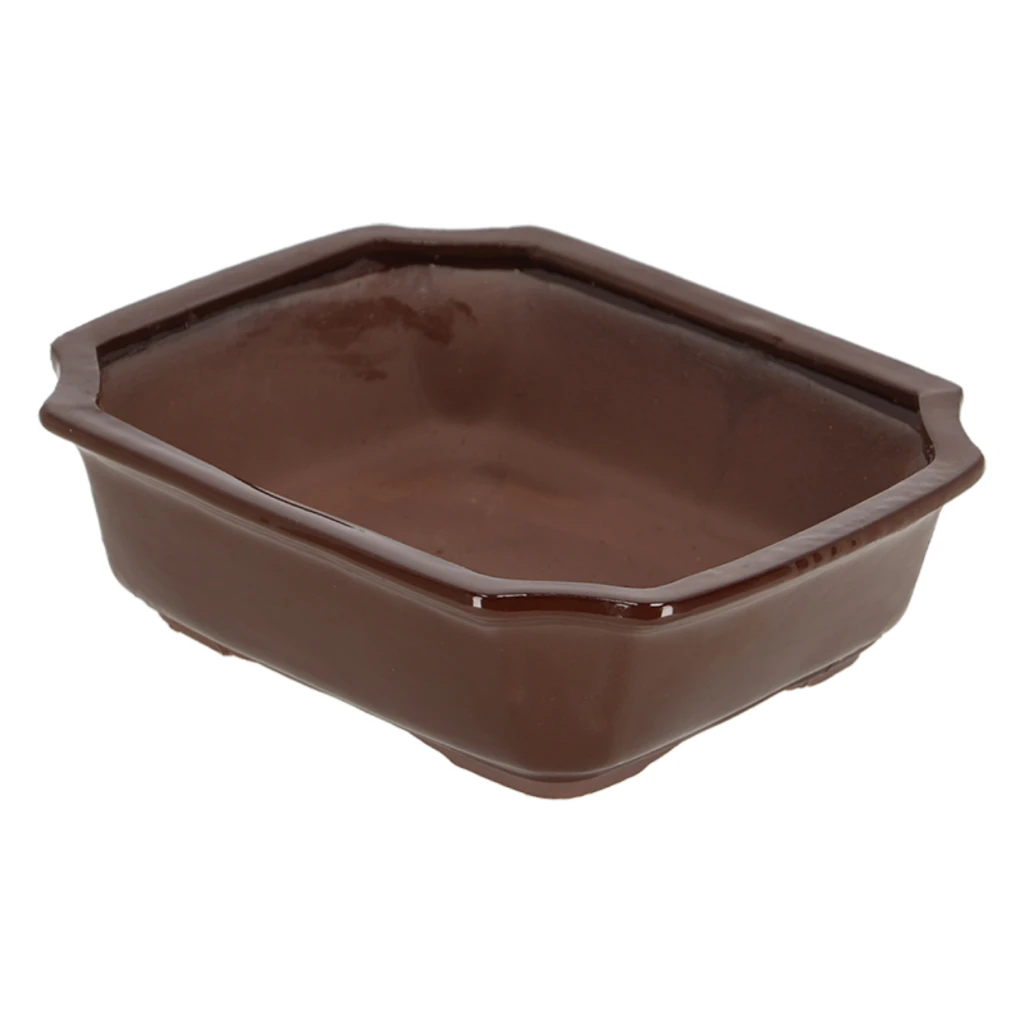 ESSCHERT DESIGN Bonsai Schale 5 ESSCHERT DESIGN Bonsai Schale – Bild 3