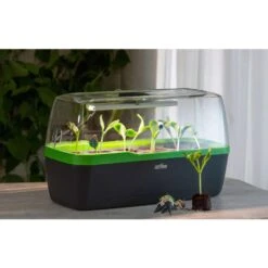 BoQube Gewächshaus L PLUS Anthrazit-grün, Mit LED-Beleuchtung