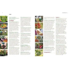 Das Große Biogarten-Buch 11 Das Große Biogarten-Buch -Saemereien buch das grosse biogarten buch3