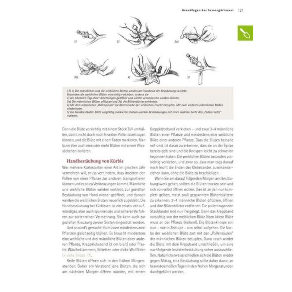 Das Große Biogarten-Buch 7 Das Große Biogarten-Buch – Bild 5