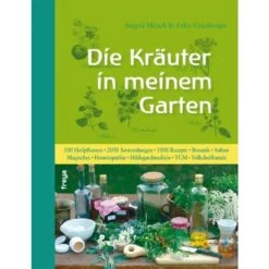 Die Kräuter In Meinem Garten