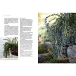 Kräuter Richtig Anbauen -Saemereien buch kraeuter richtig anbauen3