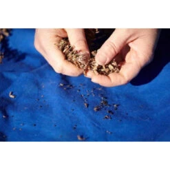 Kräuter Richtig Anbauen -Saemereien buch kraeuter richtig anbauen5