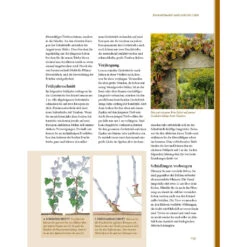 Pflanzenschnitt - Das Grosse Praxishandbuch -Saemereien buch pflanzenschnitt das grosse praxishandbuch11