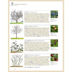 Pflanzenschnitt - Das Grosse Praxishandbuch -Saemereien buch pflanzenschnitt das grosse praxishandbuch12