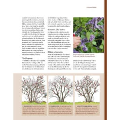 Pflanzenschnitt - Das Grosse Praxishandbuch -Saemereien buch pflanzenschnitt das grosse praxishandbuch5