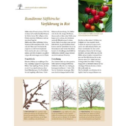 Pflanzenschnitt - Das Grosse Praxishandbuch -Saemereien buch pflanzenschnitt das grosse praxishandbuch8