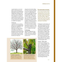 Pflanzenschnitt - Das Grosse Praxishandbuch -Saemereien buch pflanzenschnitt das grosse praxishandbuch9