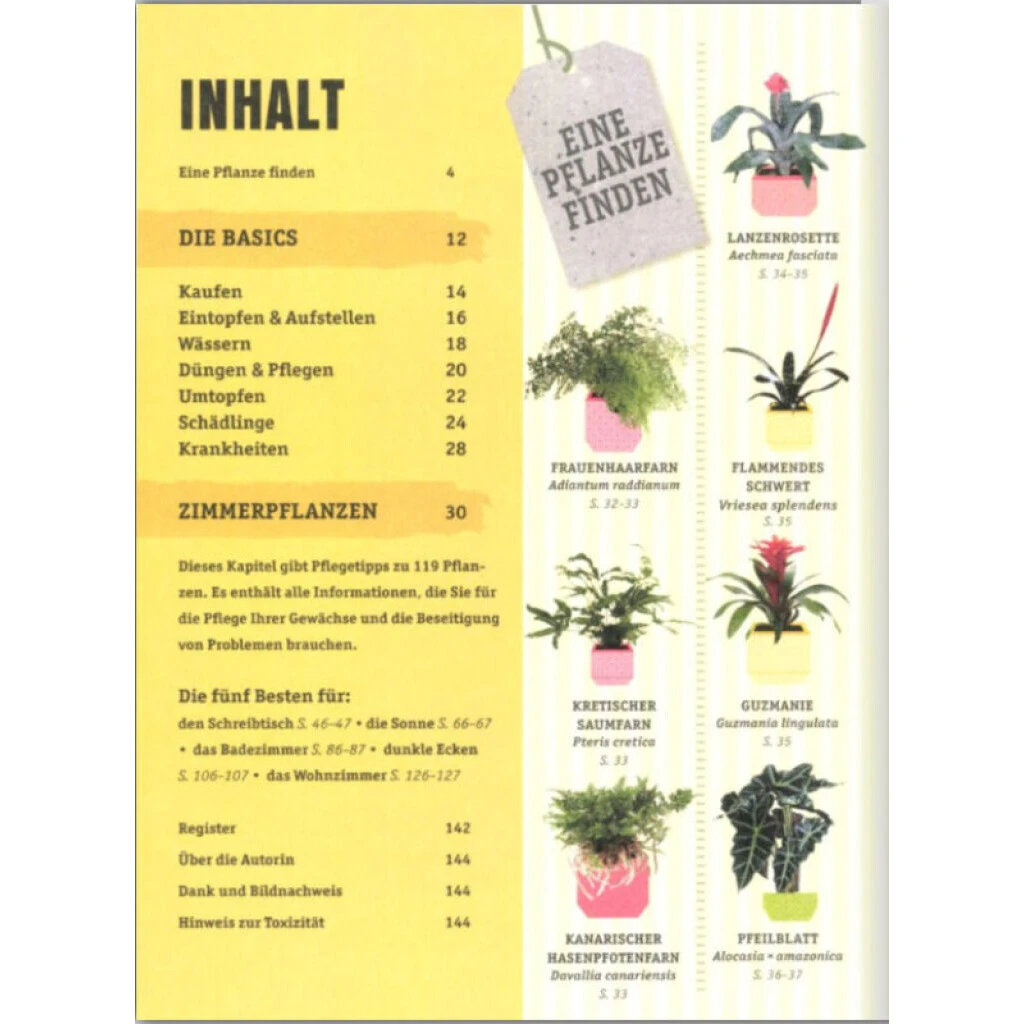 So überleben Zimmerpflanzen Garantiert: Grüner Daumen Für Anfänger 4 So überleben Zimmerpflanzen Garantiert: Grüner Daumen Für Anfänger – Bild 2