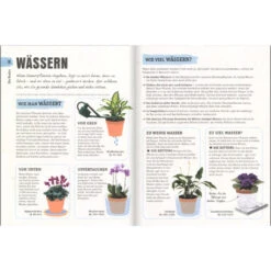 So überleben Zimmerpflanzen Garantiert: Grüner Daumen Für Anfänger 11 So überleben Zimmerpflanzen Garantiert: Grüner Daumen Für Anfänger -Saemereien buch so ueberleben zimmerpflanzen garantiert gruener daumen fuer anfaenger3