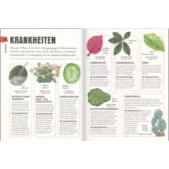 So überleben Zimmerpflanzen Garantiert: Grüner Daumen Für Anfänger 12 So überleben Zimmerpflanzen Garantiert: Grüner Daumen Für Anfänger -Saemereien buch so ueberleben zimmerpflanzen garantiert gruener daumen fuer anfaenger4