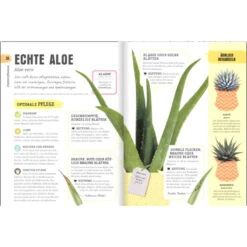 So überleben Zimmerpflanzen Garantiert: Grüner Daumen Für Anfänger 13 So überleben Zimmerpflanzen Garantiert: Grüner Daumen Für Anfänger -Saemereien buch so ueberleben zimmerpflanzen garantiert gruener daumen fuer anfaenger5