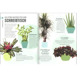 So überleben Zimmerpflanzen Garantiert: Grüner Daumen Für Anfänger 14 So überleben Zimmerpflanzen Garantiert: Grüner Daumen Für Anfänger -Saemereien buch so ueberleben zimmerpflanzen garantiert gruener daumen fuer anfaenger6