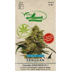 CBD Hanf 'Fenocheese' Samen