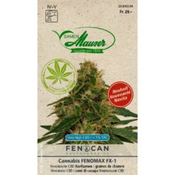 CBD Hanf 'Fenomax' Samen