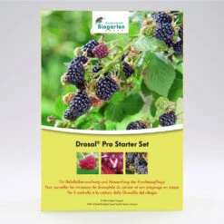 Drosal Pro Set - Kirschessigfliegen-Falle