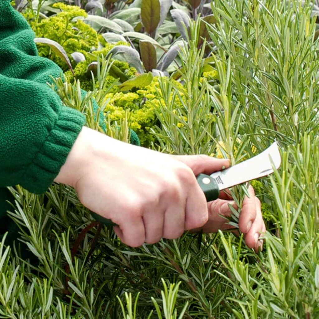 Taschenmesser Burgon & Ball 7 Taschenmesser Burgon & Ball – Bild 5