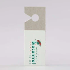 Encarsia-Schlupfwespen