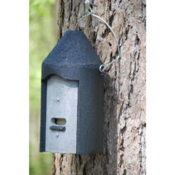 Fledermaushöhle 2F -Saemereien fledermaushoehle 2f mit doppelter vorderwand2