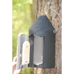 Fledermaushöhle 2F -Saemereien fledermaushoehle 2f mit doppelter vorderwand3
