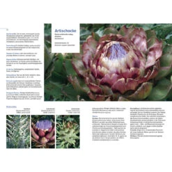 Gärtnern Im Klimawandel -Saemereien gartenbuch kaufen gaertnern im klimawandel4