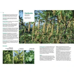 Gärtnern Im Klimawandel -Saemereien gartenbuch kaufen gaertnern im klimawandel5