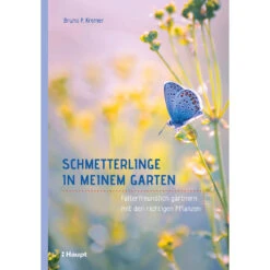 Schmetterlinge In Meinem Garten