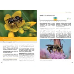 Wildbienen Artgerecht Unterstützen -Saemereien gartenbuch kaufen wildbienen artgerecht unterstuetzen4
