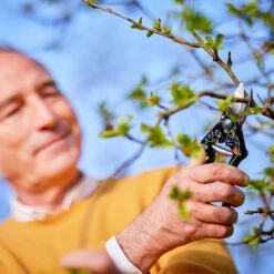 Baumschere, Gartenschere Felco 14 Spezial -Saemereien gartenschere baumschere felco 14 spezialedition stephane marie6