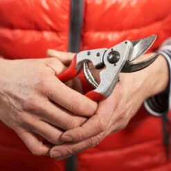 Baumschere, Gartenschere Felco 14 -Saemereien gartenschere felco 144