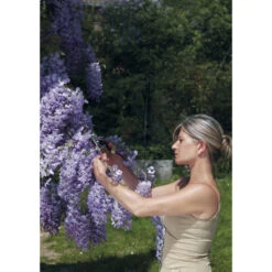 Baumschere, Gartenschere Felco 160L -Saemereien gartenschere felco 160 l3