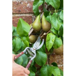 National Trust Gartenschere Burgon & Ball -Saemereien gartenschere national trust burgon ball3