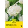 Gefüllte Tulpe 'Mount Tacoma' Zwiebeln -Saemereien gefuellte tulpen mount tacoma tulipa zwiebeln