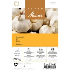 Gemüseknoblauch 'Elefant' Steckzwiebeln