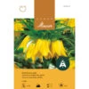 Kaiserkrone 'Lutea Maxima' -Saemereien kaiserkrone fritillaria imperialis lutea maxima zwiebel