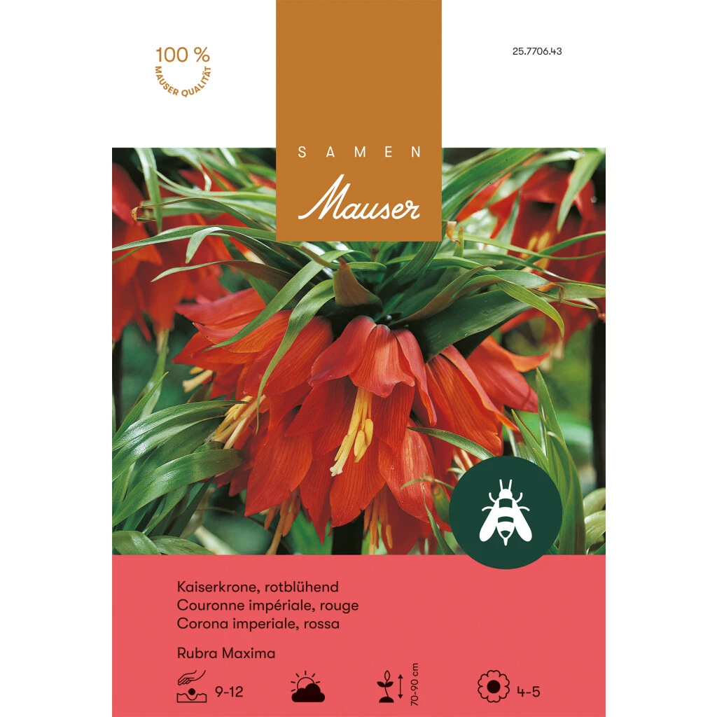 Kaiserkrone 'Ruba Maxima' 3 Kaiserkrone 'Ruba Maxima'