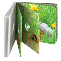 Guck Mal Auf Die Wiese 7 Guck Mal Auf Die Wiese -Saemereien kinderbuch kaufen guck mal auf die wiese3